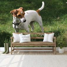 Een fotobehang van een Jack Russell hond met energieke vibes in een woonkamer.