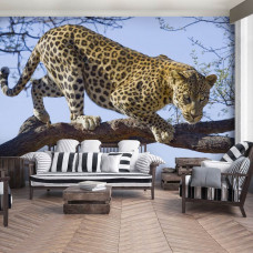 Een fotobehang met een jaguar, luipaard, panter en cheeta in een krachtig ontwerp voor een woonkamer.