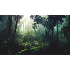 Mysterieus fotobehang van jungleplanten en een tropisch bos, omgeven door dichte natuur en exotische bomen.