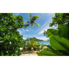 Jungle paradijs met palmbomen en een tropisch strand.