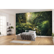 Fotobehang Jungle - 450 x 280 cm