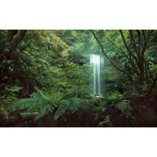 Een tropische waterval midden in de jungle, het fotobehang brengt de schoonheid van natuur en rust in elke ruimte.