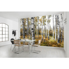 Fotobehang Kleurrijk Bos - 450 x 280 cm