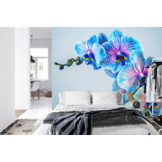 Een fotobehang met exotische bloemen van orchideeėn, weergegeven in een slaapkamer.