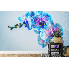 Een fotobehang met een levendig ontwerp van orchideeėnbloemen, afgebeeld in een slaapkamer en woonkamer.