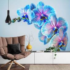 Een fotobehang met kleurrijke orchideeėn in een levendig ontwerp, afgebeeld in een woonkamer.