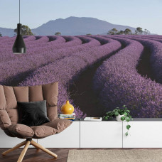 Fotobehang Lavendel in de Bergen