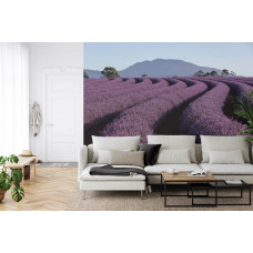 Fotobehang Lavendel in de Bergen