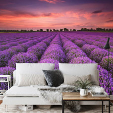 Fotobehang Lavendel Magie