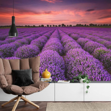 Fotobehang Lavendel Magie