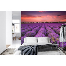 Fotobehang Lavendel Magie