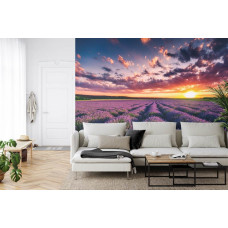 Fotobehang Lavendelveld bij Zonsondergang