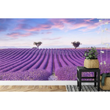 Een fotobehang met een lavendelveld vol bloemen, weergegeven in een eetkamer.