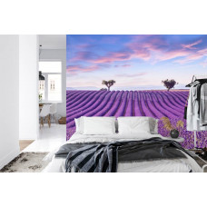 Een fotobehang met een kleurrijk lavendelveld in een bloemenlandschap, afgebeeld in een slaapkamer.