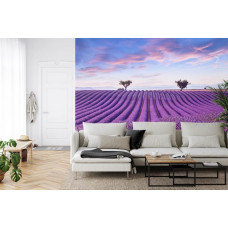 Een fotobehang met een betoverend landschap van lavendelbloemen, weergegeven in een woonkamer.