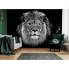 Fotobehang Lion