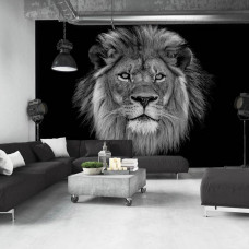 Fotobehang Lion