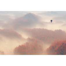 Fotobehang van een luchtballon die boven een mistig bos zweeft, met bomen die in de nevel verdwijnen.