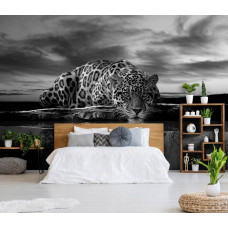 Een zwart-wit fotobehang met een luipaard en panter in jachtpositie met een cheetah en jaguar voor de slaapkamer.