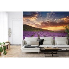 Fotobehang Magisch Lavendelveld