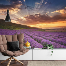 Fotobehang Magisch Lavendelveld