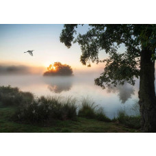 Fotobehang van mist die boven een meer hangt, met een rustgevend en sereen landschap van bomen en water.