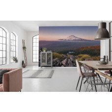 Fotobehang Mount Hood - 450 x 280 cm