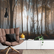 Een fotobehang met een serene bosomgeving met hoge bomen en een mystieke uitstraling, perfect voor een huiskamer.