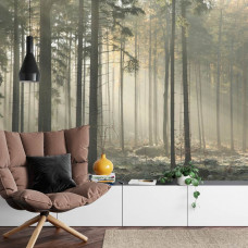 Een mystiek fotobehang met zonnestralen die door de mistige bomen in het bos schijnen, perfect voor een huiskamer.