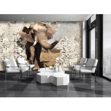 Fotobehang Olifant door de Muur 3D