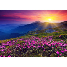 Fotobehang van een ondergaande zon in de bergen, waar bloemen het landschap vullen met levendige kleuren.