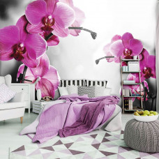Fotobehang Roze Orchideeën