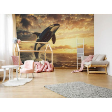 Een orka die uit zee springt bij een zonsondergang op fotobehang in een kinderkamer.