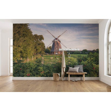 Fotobehang Oude Molen - 450 x 280 cm