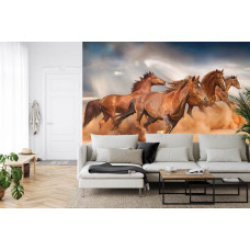 Een fotobehang met galopperende paarden aan het strand, afgebeeld in een woonkamer.