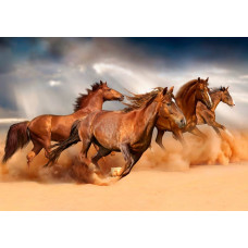 Fotobehang van paarden die langs het strand galopperen, met een woestijnachtige achtergrond.