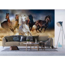 Fotobehang met een aantal paarden in die rennen door de woestijn in een huiskamer.