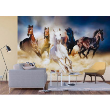 Fotobehang van een aantal paarden in die rennen door de woestijn in een woonkamer.