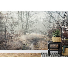 Een fotobehang met een serene natuurweergave van een pad door het bos, ideaal voor een slaapkamer.