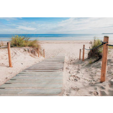 Zandpad dat leidt naar een afgelegen strand met helderblauwe zee en duinen op de achtergrond, fotobehang dat rust en vrijheid uitstraalt.