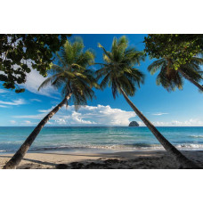 Fotobehang van palmbomen die langs de kustlijn van een tropisch strand staan, met helderblauw water op de achtergrond.