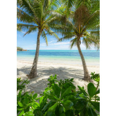 Palmbomen strand fotobehang, met wuivende palmbomen en een tropisch strand.