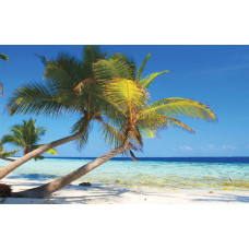 Fotobehang van een tropisch strand met groene palmbomen, een azuurblauwe zee en een stralende zon aan de horizon.