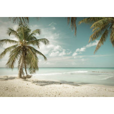 Tropisch strand met een palmboom die over de zee buigt, fotobehang dat het ultieme strandgevoel oproept.