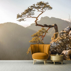 Een fotobehang met een uitzicht op het Sokolica-gebergte in de Pieniny Mountains, ideaal voor de huiskamer.