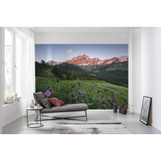 Fotobehang Pittoresk Zwitserland - 450 x 280 cm