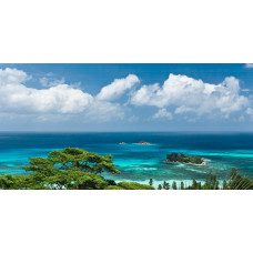 Seychellen palmbomen stranden fotobehang, met een paradijselijk strandlandschap.