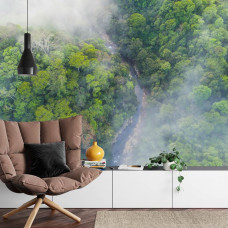 Een fotobehang met een betoverend regenwoud vol bomen gehuld in mist, geschikt voor een huiskamer.