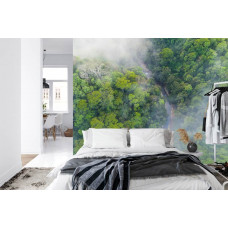 Een fotobehang met een serene regenwoudomgeving in zachte mist, perfect voor een slaapkamer.