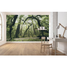 Fotobehang Secret Forest - 450 x 280 cm